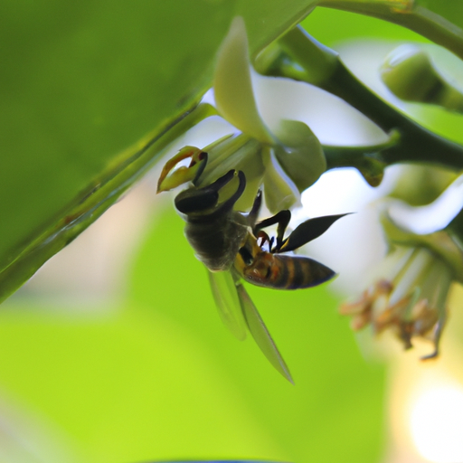 Mari Kita Mengenal Hewan Lebah Pahlawan Kecil yang Membawa Manfaat Besar